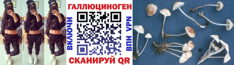 Псилоцибиновые грибы Psilocybe  shop клад  Печоры 